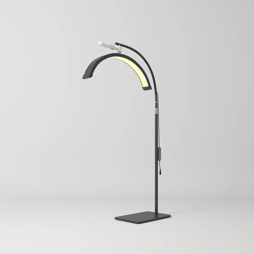 Beauty Lamp