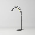 Beauty Lamp